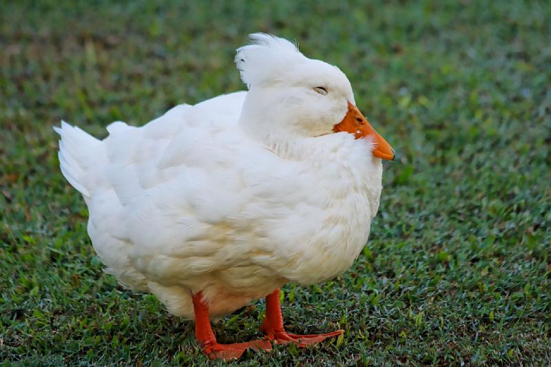 2007 05 17 Gold Coast 054_DXO.jpg